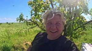 Наталья Губарева - С УТРА УБОРКА -А ТАМ КАК ПОЙДЕТ..