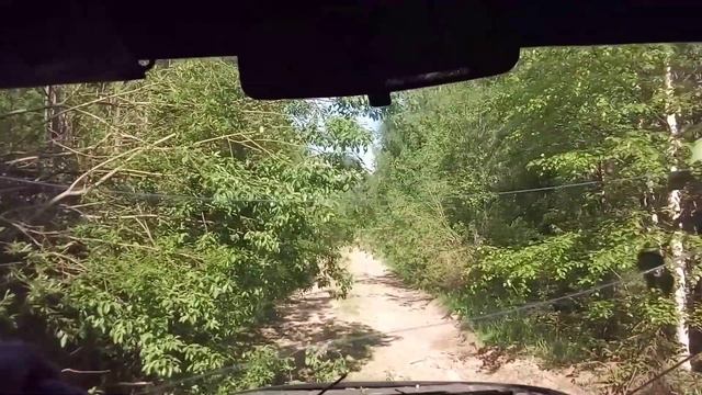 Заросшие горные дороги.