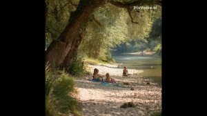 🌿🍃 Идеальный пикник - Гармония и расслабление