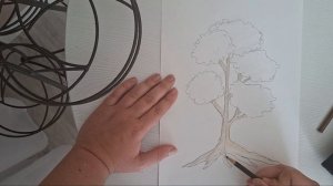 рисование дерева