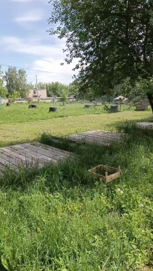 стрельба