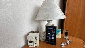 Как нам помогает домашняя метеостанция. Краткий обзор цветов и томатов.
