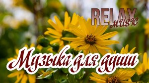 🌺RELAX | АНТИСТРЕСС ДЛЯ ДУШИ — КРАСИВАЯ МУЗЫКА, ЦВЕТОЧНОЕ ПОЛЕ И ПЕНИЕ ПТИЦ ДЛЯ СНА И ГАРМОНИИ