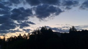 Рассвет из моего окна# Пение птиц#4 часа утра# Красота!☀️