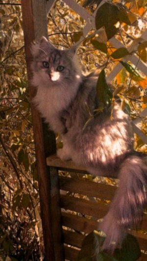 СТРИМ СПУСТЯ 3-4 МЕСЯЦА!