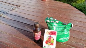 🫴24 мая первая обработка винограда 🍇 и роз 🌹 от заболеваний 🤗