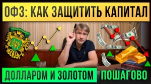 ОФЗ: как защитить капитал ДОЛЛАРОМ и ЗОЛОТОМ — пошагово!
