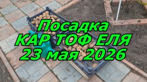 Посадка Картофеля 23 марта 2026