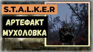 S.T.A.L.K.E.R.2 Сердце Чернобыля Где найти артефакт Мухоловка  три +++ веса, три радиационная защита