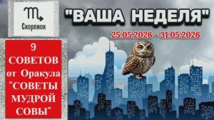 СКОРПИОН: «ВАША НЕДЕЛЯ с 25 по 31 МАЯ 2026 года» (оракул «СОВЕТЫ МУДРОЙ СОВЫ»)!!!
