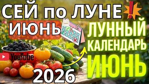 Лунный посевной календарь на июнь 2026: благоприятные дни, фазы Луны, работы в саду и огороде смотреть онлайн