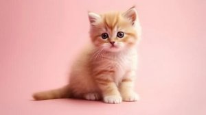 Live: Моим питомцем🐱