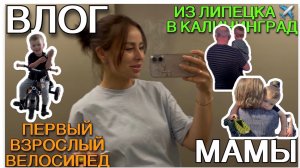 Влог мамы. Наша дорога с малышом к морю ✈️Липецк-Калининград[81]