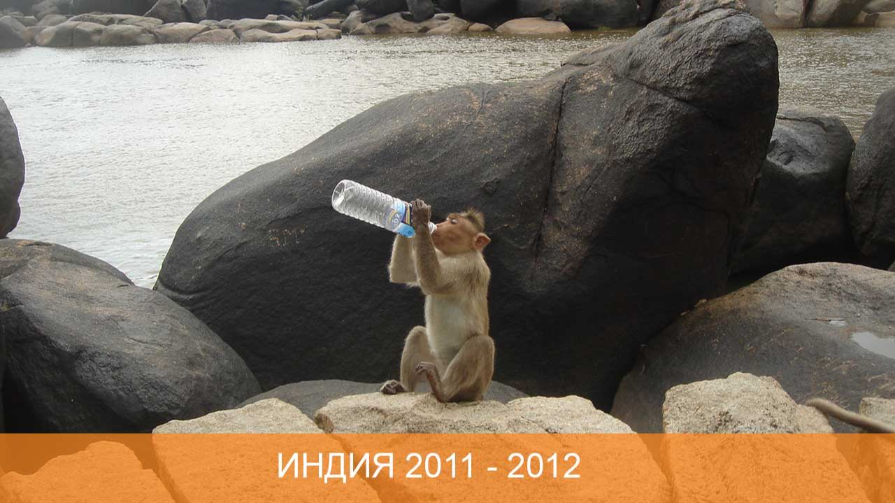 Путешествия по миру