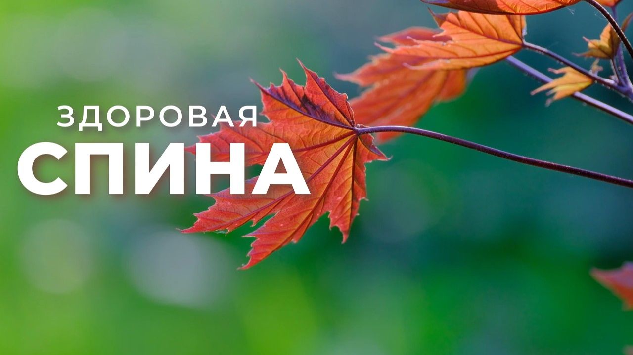 Здоровая спина. Исцеление спины | Саблиминал