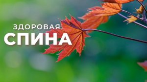 Здоровая спина. Исцеление спины (мышцы, кровообращение, нервы, лимфа и т.д.) | Саблиминал