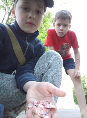 челлендж кто первый сморщится