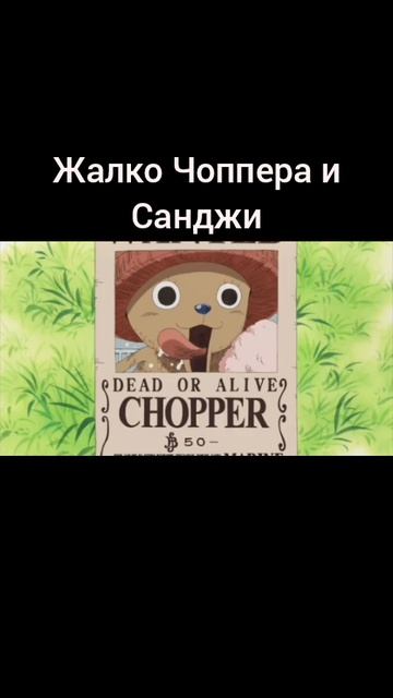 Чоппера и Санджи жалко