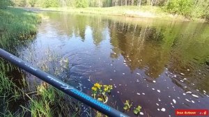 Щука на спининнг ВОЛЖАНКА КОМПРОМИСС КОМПАКТ🎣
