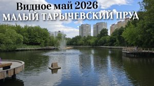 Подмосковье Видное Малый Тарычевский пруд май 2026