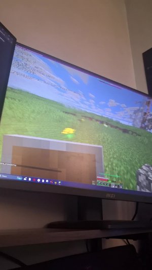 играю на смп сервере