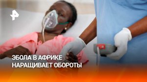 Эбола выходит из-под контроля в Африке