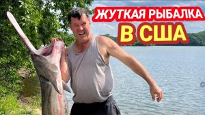 КАК ВЫЖИВАЮТ РУССКОЯЗЫЧНЫЕ НА ЗАГНИВАЮЩЕМ ЗАПАДЕ: На АМЕРИКАНСКОГО ОСЕТРА и ЧЕРНУЮ ИКРУ