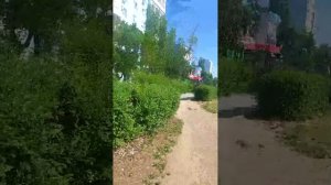 ИЗМЕНИЛИ МАРШРУТ ОБЩЕСТВЕННОГО ТРАНСПОРТА