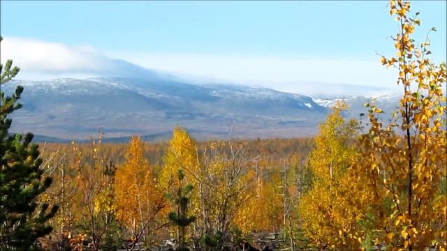 Архив. Повтор. Куропачья гряда, сжигал мусор, о нарезном по птице.