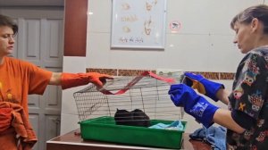 Чудинка сегодня была спасена дважды! Первый раз, когда её нашли в мешке, и второй, когда сделали УЗИ