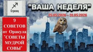 СТРЕЛЕЦ: «ВАША НЕДЕЛЯ с 25 по 31 МАЯ 2026 года» (оракул «СОВЕТЫ МУДРОЙ СОВЫ»)!!!