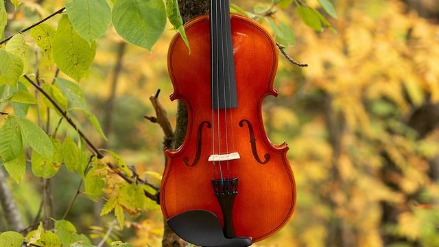 Классическая музыка | Скрипка музыка | Современная классика музыка