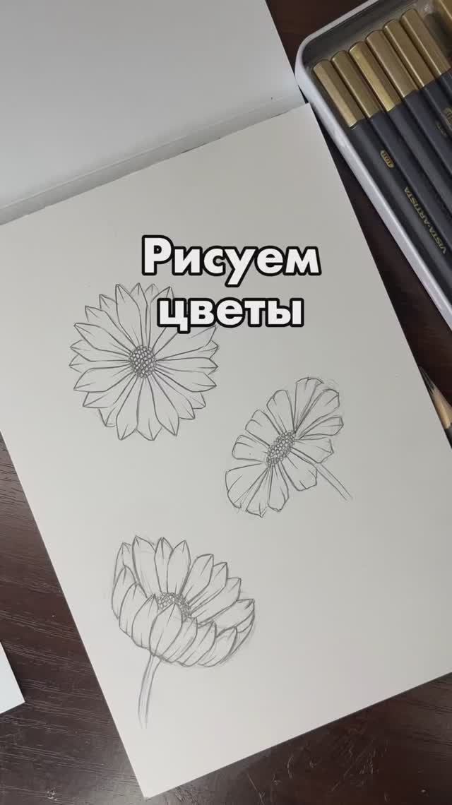 Рисуем цветы смотреть онлайн