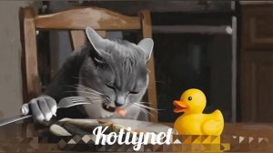 ВСЕ заставки канала KotiyNet
