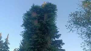 GARIK**НЕ СУДИ, НЕ БУДЕШЬ СУДИМЫМ**ВОТ ТАКОЕ ВОСКРЕСЕНЬЕ. ВСЕГДА НАДО БЫТЬ ЧЕСТНЫМ. ЧЕЛОВЕКОМ.