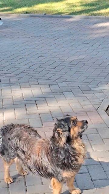 🫠😁 смотреть онлайн
