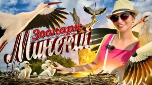 Минский ЗООПАРК - Билеты, Цены, Полный обзор! / Куда сходить в Минске? Лучшие зоопарки
