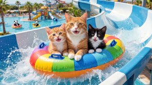 Мама-кошка и котенок собираются на летние каникулы в аквапарк 🐾💦 Трогательная история