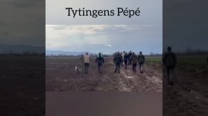Tytingens Pepe