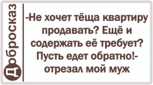 -Не хочет тёща квартиру продавать? Ещё и содержать её требует? Пусть едет обратно!- отрезал мой муж