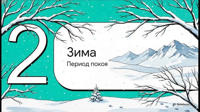 ЯВЛЕНИЯ ПРИРОДЫ 2 класс окружающий мир Плешаков
