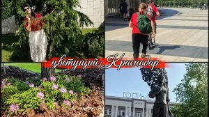 Наша прогулка по Краснодару, красивое цветение и парк Галицкого
