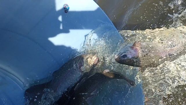 1000098837.mp4 смотреть онлайн