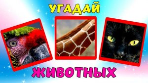 Игры для развития памяти и мышления малыша/Угадай животных/Развивающие мультики для детей