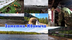 Копченое мясо, аномальные дожди, как пахать огород?