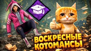 ВОСКРЕСНЫЕ КОТОМАНСЫ! 🐾 Dead by Daylight