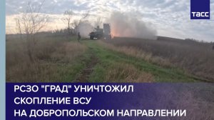 РСЗО «Град» уничтожил скопление ВСУ на добропольском направлении