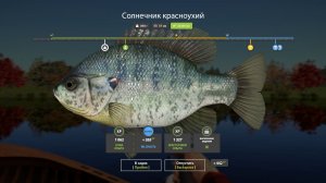 Русская Рыбалка 4-9 лет Задания: Солнечник красноухий не менее 800 грамм оз. Лосиное