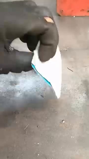 Умный приём смотреть онлайн