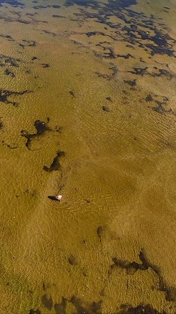 Необработанный полет DJI Avata над красивыми сельскими пейзажами возле лагуны Лангко, Вьетнам 🇻🇳🌴